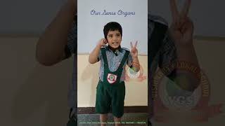 Sense Organs by PP2 kid Karthik VisionaryGlobalSchool [upl. by Flemming]