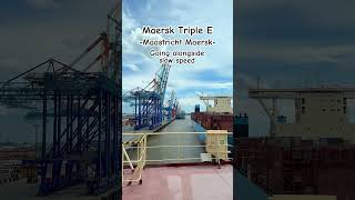 Maersk Triple E vessel  Containership  Cargo seafarer [upl. by Nehpets]