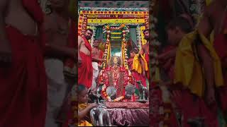 Shri Ranchhodraiji live Darshan Dakor Temple [upl. by Arette281]