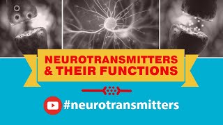 This Is How Dopamine Works In Your Brain [upl. by Ursel]