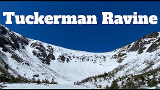 Spring Skiing in Tuckerman Ravine The Lip Lobster Claw Left Gully and Right Gully [upl. by Halima]