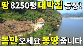 몸만 오세요 지상낙원 찾았습니다 돈직장 걱정 끝 땅 8250평대박집몽땅 놀라운 가격에 드립니다 저수지를 품은 아름다운 곳 [upl. by Malinda]