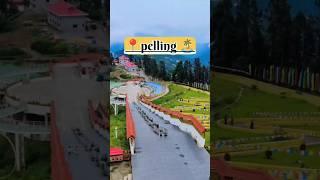 Pelling tour  Gangtok pelling tour plan  Pelling tour Package cost  Pelling sikkim youtubeshorts [upl. by Otes]