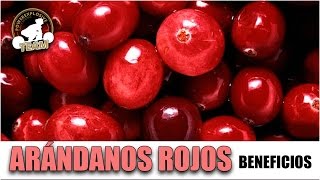 BENEFICIOS DE LOS ARÁNDANOS ROJOS [upl. by Yreffej]