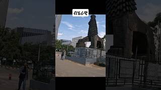 ብሄራዊ አዲስ አበባ walkingtour addisababawalkingtour habesha zenaaddisababa 4k Beherawi ethiopia [upl. by Drusie]