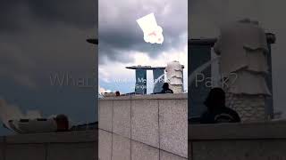 Merlion Park  merlion singapore travel [upl. by Faunie]