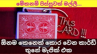 කාර්ඩ් තුනෙන් කරන සුපිරි මැජික් එකක්  Easy magic trick in sinhala [upl. by Packton]