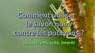 Comment UTILISER le SAVON NOIR CONTRE les PUCERONS [upl. by Nocaed]