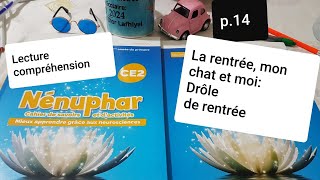 Lecture compréhensionLa rentréemon chat et moi Drôle de rentréeNénuphar CE2 p14 [upl. by Charla]