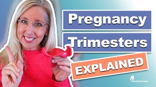 Pregnancy amp Trimesters Explained [upl. by Anila361]