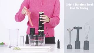 Oster 6in1 Multi Purpose Hand Blender  2620 [upl. by Alexandros]