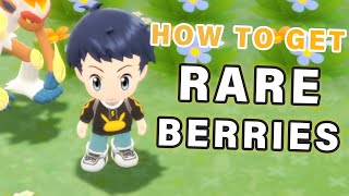 How to get RARE Berries ► Pokemon Brilliant Diamond  BDSP [upl. by Tabina]