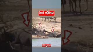 ধৈর্য পরীক্ষায় সফল entertainment facts mayajal animals experiment [upl. by Maltzman]