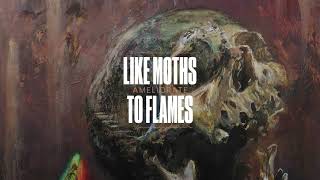 Like Moths To Flames  Ameliorate [upl. by Mcclimans]