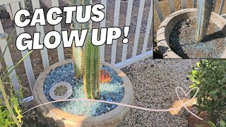 From Prickly to Perfect 2024s Hottest Cactus Glow Up [upl. by Ahso]