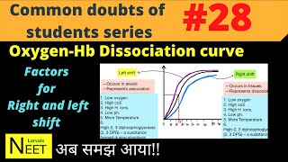 Oxygen Haemoglobin Dissociation Curve  Right and Left Shift in Oxygen Dissociation Curve  NEET [upl. by Romelle]