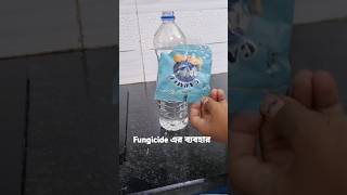 কি ভাবে ব্যবহার করবেন Fungicide gardening tips bangla ytshort trending viralshorts [upl. by Stallworth]