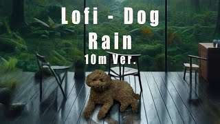 Lofidog☔雨 10分ver lofimusic dog poodle quiet [upl. by Corilla641]