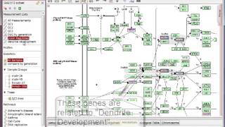 Enrichment Analysis Tool [upl. by Dnalrag]