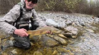 Stéphane Morard Guide de pêche en Haute Savoie  GROSSES TRUITES en sèche et en nymphe [upl. by Erreipnaej]