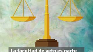 quotVetoquot en el ABCdelSenado [upl. by Lockwood]