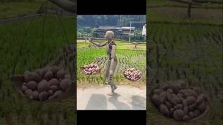 Farming worker robot farmingrobot [upl. by Amalburga]