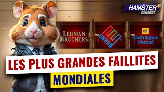 La chute des titans financiers  3 faillites catastrophiques ⚡️ Hamster Academy [upl. by Annabell534]