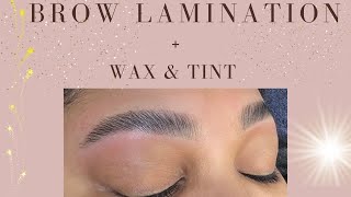 Brow Lamination Plus Wax and Tint [upl. by Ailecec]