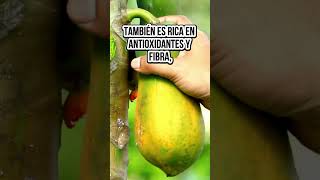 Los increíbles beneficios de la papaya que no conocías bienestar alimentossanos [upl. by Mcripley]