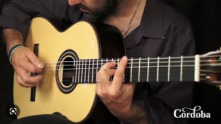 Cordoba C10 Parlor Review [upl. by Samtsirhc33]