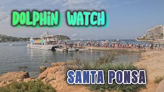 4K DOLPHIN WATCH SANTA PONSA MALLORCA 02082024 BOAT TRIP GLASS BOTTOM BOAT WILD GOATS [upl. by Wernick]