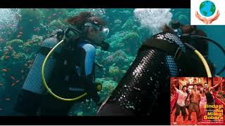 Beautiful Underwater scenes Nature  zindagi na milegi dobara  Hrithik Roshan amp Katrina Kaif [upl. by Perni790]