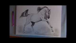 How to Draw a Galloping Bay Horse 16th January 2012 [upl. by Nonnac]