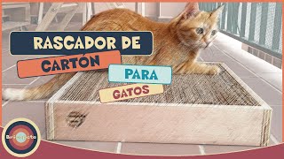 Cómo hacer un RASCADOR de cartón para gatos FÁCIL Y MUY ECONÓMICO [upl. by Enelyak]