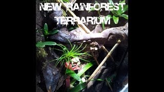 How i build my new Day Gecko Rainforest Terrarium quotRegenwaldterrariumquot HD TerraTec [upl. by Sclater]