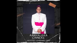 Chineke Di Mma Official Audio  Bishop Godfrey Igwebuike ONAH [upl. by Stoddart469]