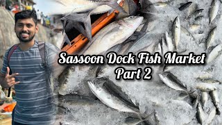 Sassoon Dock Fish Market Part 2 😍  Katyavarcha Market  Colaba Fish Market [upl. by Kynan118]