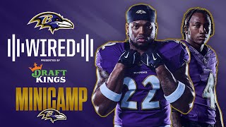 Derrick Henry and Zay Flowers Micd Up For Ravens Minicamp Practice  Ravens Wired [upl. by Napoleon]