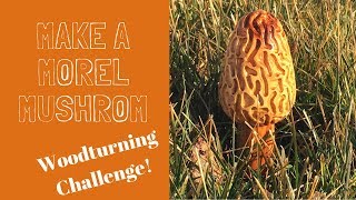 make a morel mushroom woodturning challenge [upl. by Nnylyak907]