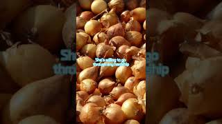 Shallots food diet shorts [upl. by Prasad]