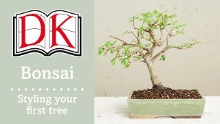 Bonsai Styling Your First Bonsai Tree [upl. by Tayler]