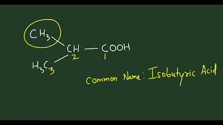 Isobutyric acid shorts [upl. by Annoyek]