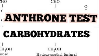 ANTHRONE TEST FOR CARBOHYDRATES  biosidexplanations [upl. by Varick446]