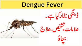 Dengue Fever kya hai symptoms treatment prevention [upl. by Adnauqaj]