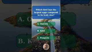 General knowledge quiz part 107 generalknowledge generalknowledgequiz challenge quiz gk trivia [upl. by Nyrmac990]