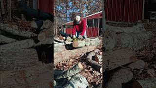 Ryobi 14quot 40V Chainsaw Helps Get The Job Done 1 ryobi homedepot shorts shortsvideo [upl. by Daegal503]