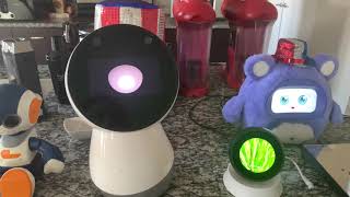 Jibo and Friends  True Colors [upl. by Hillard]