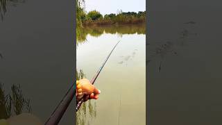 How to put a fishing rod in the lakeshorts [upl. by Janel]