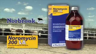 DocTalk  Bovine Leukosis Virus in Cattle 480p [upl. by Marucci951]