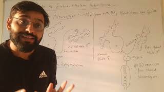 Poky mutation in Neurospora example of Extrachromosomal inheritance [upl. by Trilly]